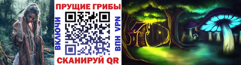 Псилоцибиновые грибы Cubensis Аксай