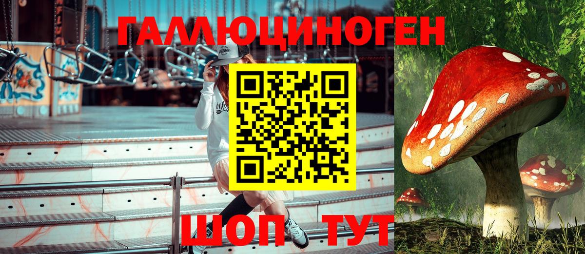 Аксай  Галлюциногенные грибы Psilocybine cubensis  Вход с VPN 