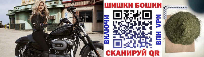 дарнет шоп  Аксай  Конопля сатива 